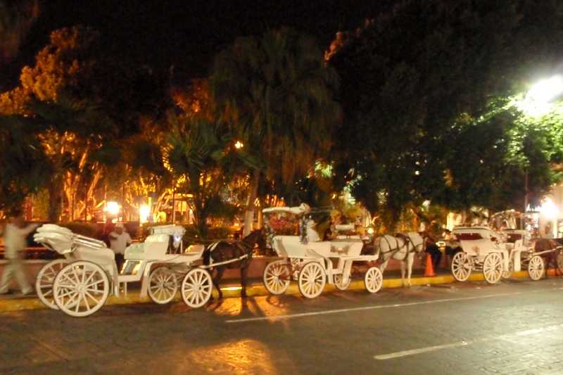 Mexico & Guatemala 2010 - 0126